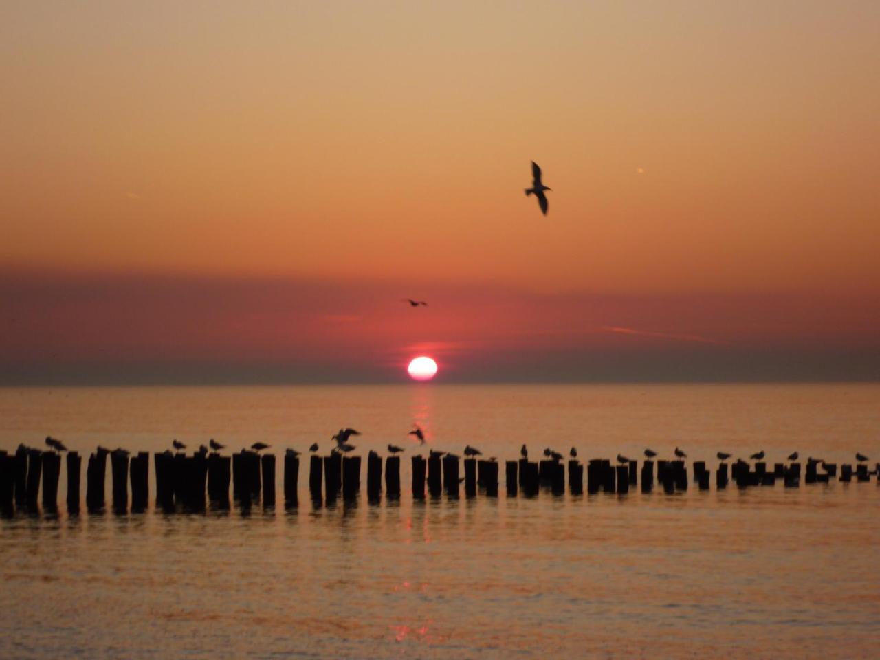 Prachtig Appartement Dichtbij Strand Do07 Domburg Bagian luar foto